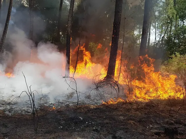 Foto: Archiv/NÖLFKDO