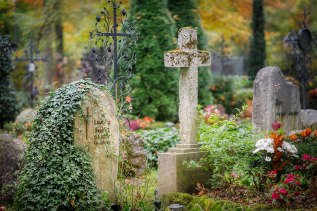 Insgesamt 26 Schülerinnen und Schüler waren im Einsatz (Symbolbild). | Foto: pixabay.com