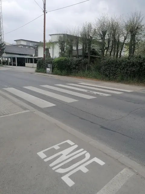 Der Radweg ist anliegend zu einem Zebrastreifen unterbrochen. 