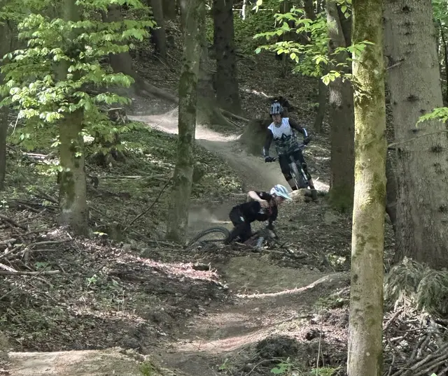 Foto: Stadtgemeinde Gleisdorf