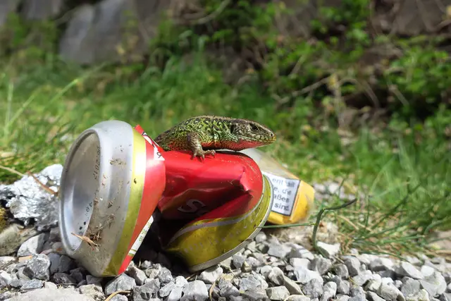 Vielfältige Lebensräume als Schlüssel zur Artenvielfalt