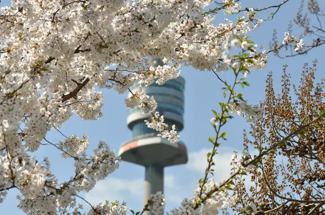 Viel Sonnenschein bei frühlingshaften Temperaturen