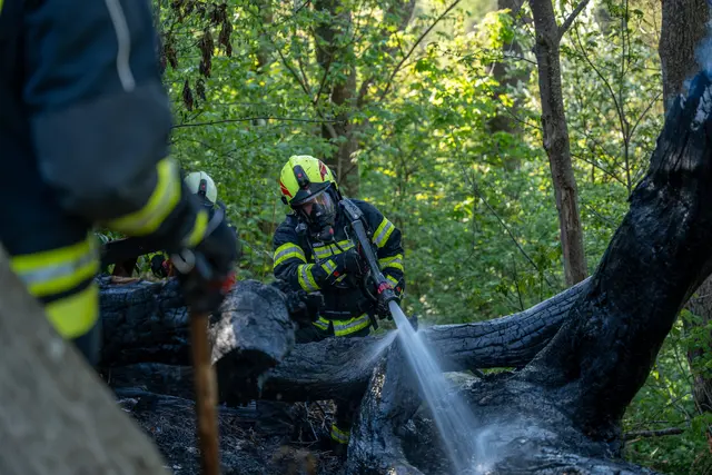 Foto: FOTOKERSCHI / MARTIN SCHARINGER