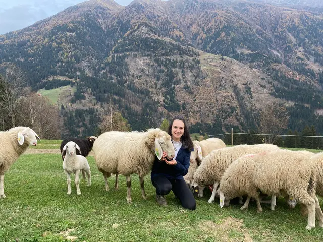 Anna Egger, eine Schafzüchterin aus Oberkärnten, schmerzt jedes gerissene Schaf. | Foto: Privat