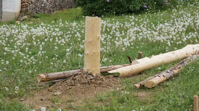 Brauchtum ist kein Freibrief