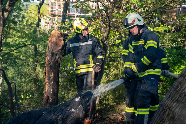 Foto: FOTOKERSCHI / MARTIN SCHARINGER