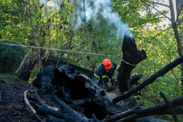 Foto: FOTOKERSCHI / MARTIN SCHARINGER