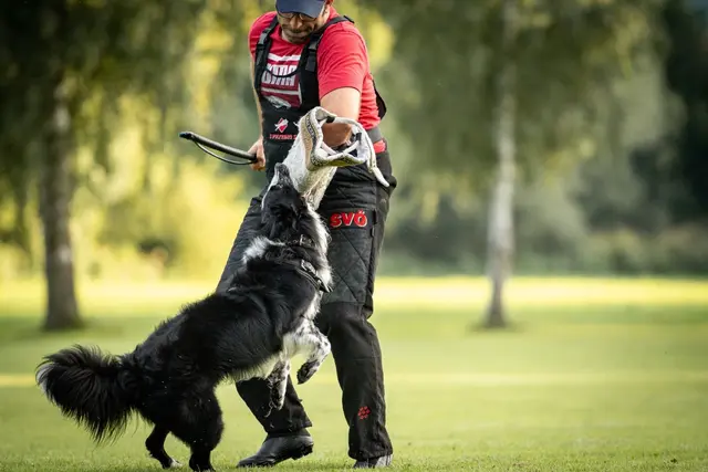 Foto: ÖKV