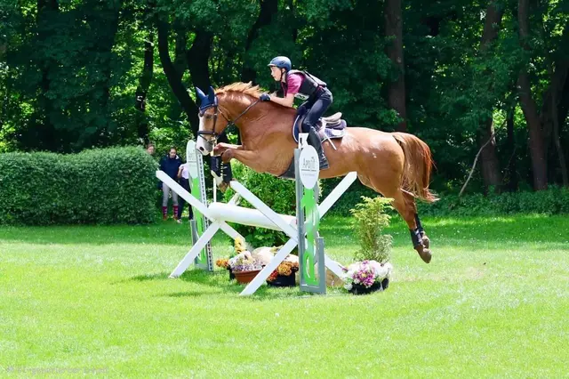 Auf und um die Rennbahngründe in der Freudenau gibt es für das Vielseitigkeits-Reitturnier genügend Platz am Rasen und auch im Gelände. | Foto: HippoSport