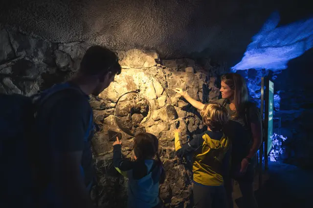 Kleine Forscher ganz groß: Im Forschercamp des Triassic Parks erfahren Familien Wissenswertes über Fossilien und die Urzeit – anschaulich und interaktiv vermittelt. | Foto: Bergbahn Steinplatte