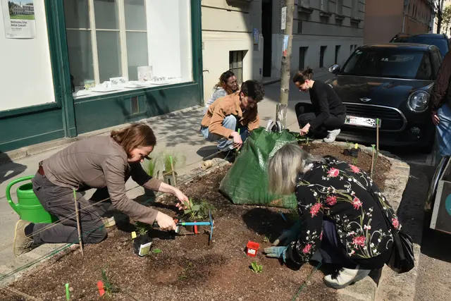 Vor Kurzem wurde die Josefstadt ein Stück grüner. | Foto: Angela Knoebl