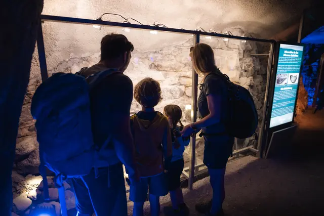 Spannende Entdeckungen im Inneren des Berges: In der Tropfsteinhöhle des Triassic Parks erkunden Familien die Erdgeschichte anhand echter Gesteinsformationen und informativer Schaukästen. | Foto: Bergbahn Steinplatte