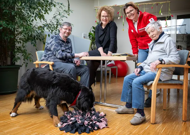 Therapiehund Holly bereichert den Alltag im PBZ  Pottendorf