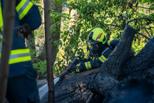 Foto: FOTOKERSCHI / MARTIN SCHARINGER