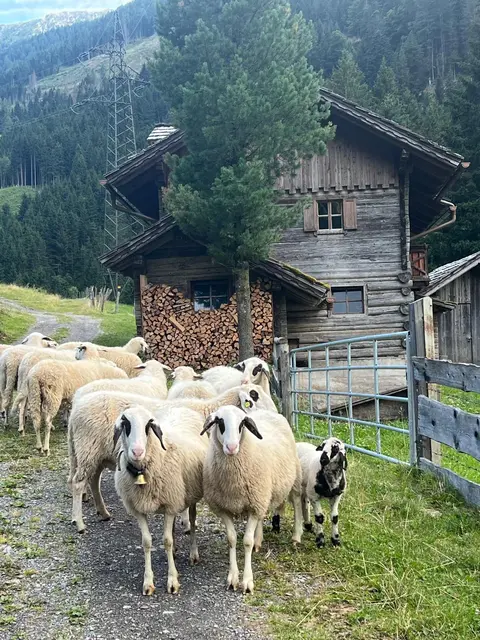 Foto: Privat