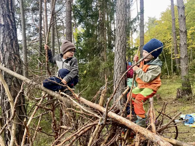 Foto: Verein Waldkiebitze