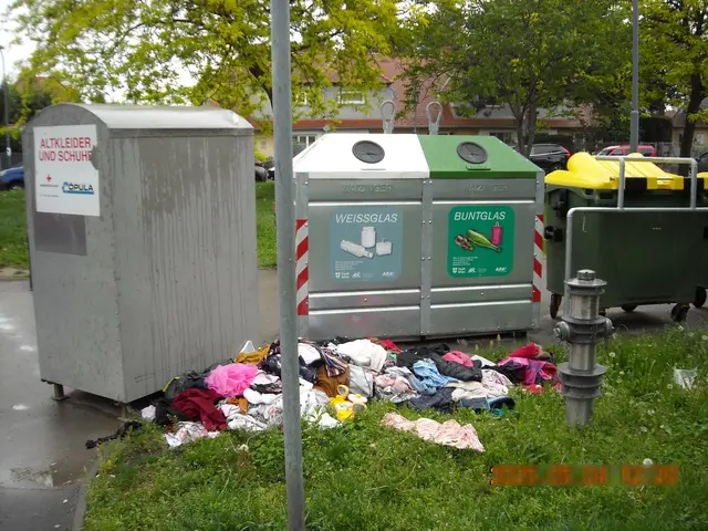 Ein Altkleidercontainer am Wilhelm-Kreß-Platz sorgt für Ärger bei einer Anrainerin.  | Foto: zVg