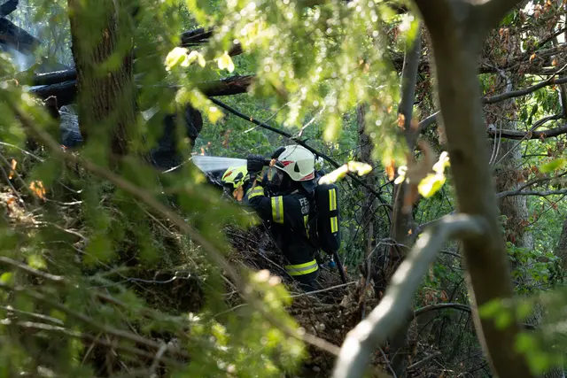 Foto: FOTOKERSCHI / MARTIN SCHARINGER