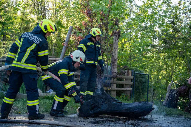 Foto: FOTOKERSCHI / MARTIN SCHARINGER
