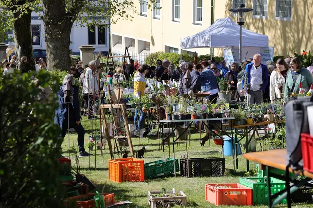 Rund 2.000 Besucher beim Pflanzl- und Gartlerkirtag