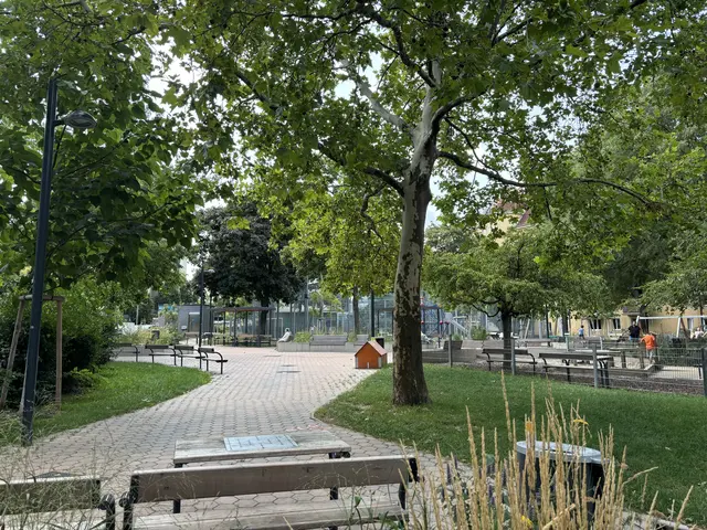 Vor wenigen Jahren wurde der Grünbereich neben dem Matzleinsdorfer Hochhaus – der Leopold-Rister-Park – neu gestaltet.  | Foto: Nathanael Peterlini/MeinBezirk
