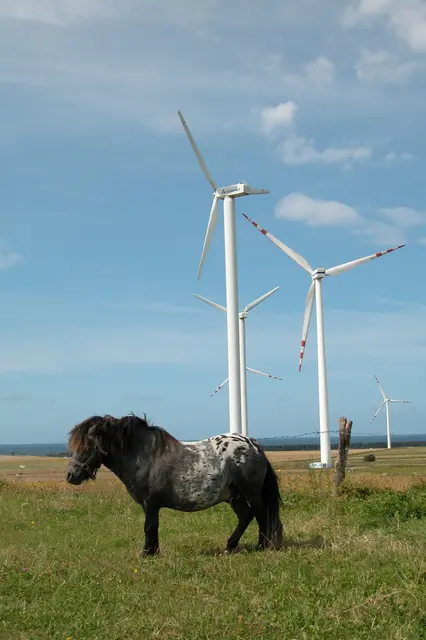 Windenergie im Alltag der Kulturlandschaft: Windkraftanlagen lassen sich gut mit landwirtschaftlicher Nutzung kombinieren, da nur ein kleiner Teil der Fläche dauerhaft beansprucht wird. | Foto: IG Windkraft