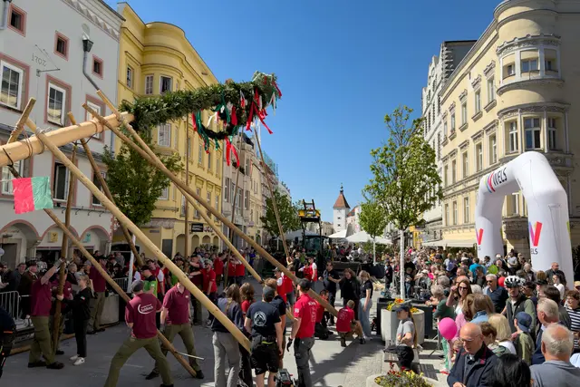 Mit vereinten Händen aus Wels und Pichl wurde der Maibaum auch heuer wieder am Stadtplatz der Messestadt aufgestellt. | Foto: WMT/ Chris Holzinger