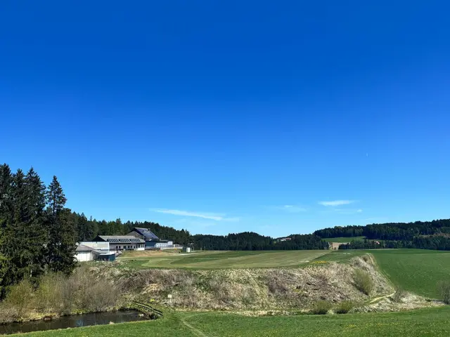 Der Flugplatz Freistadt in Hirschbach im Mühlkreis. | Foto: MeinBezirk/Roland Wolf