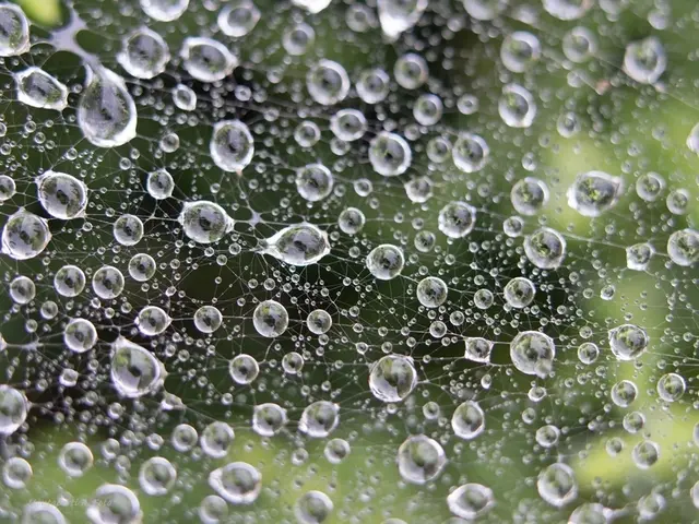 Wassernetzwerk