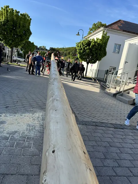 Der 32 Meter lange Wiesener Maibaum.  | Foto: MeinBezirk/Barbara Babonitsch-Diewald
