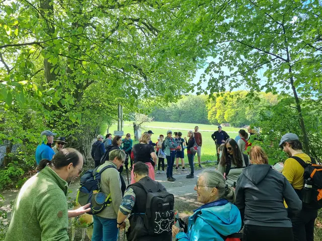 Foto: Gesunden Gemeinde Neulengbach