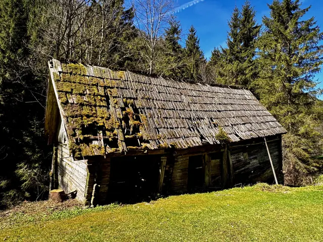 LOST PLACE IM DÜRRGRABEN