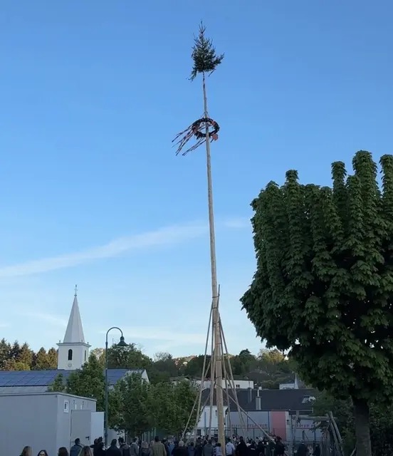 Kurz vor 19.30 Uhr war es vollbracht: Der Maibaum in Wiesen steht!  | Foto: MeinBezirk/Barbara Babonitsch-Diewald