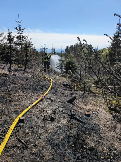 Foto: FOTOKERSCHI/FEUERWEHR PEHIGEN