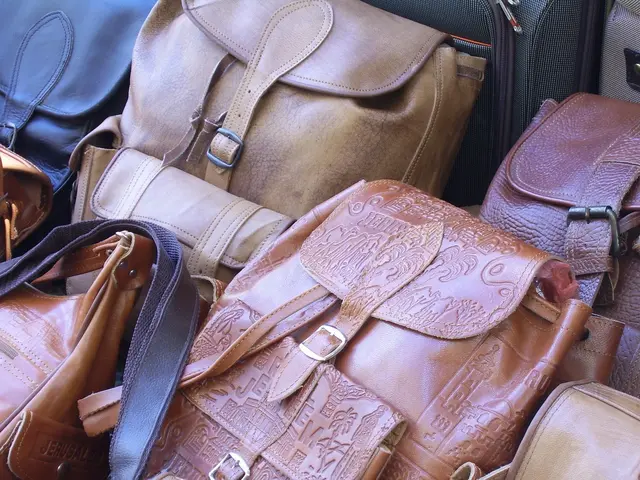 Eine Indonesierin borgte sich Geld, um ein Unternehmen aufzubauen, in dem sie mit angeblichen Designer-Handtaschen handelte. | Foto: pixabay / PublicDomainPictures