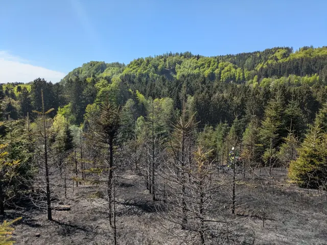 Foto: FOTOKERSCHI/FEUERWEHR PEHIGEN