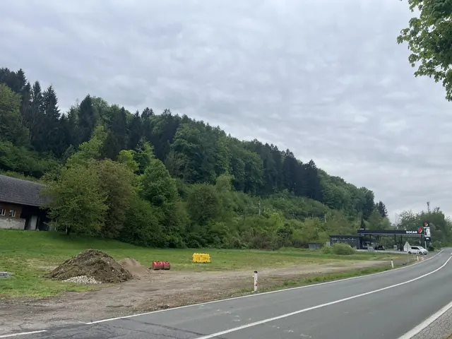 Auch für die Wiese vor der Socar-Tankstelle wünscht sich Bürgermeister Christian Poglitsch einen Supermarkt. Ob er kommt, ist noch offen. | Foto: MeinBezirk.at