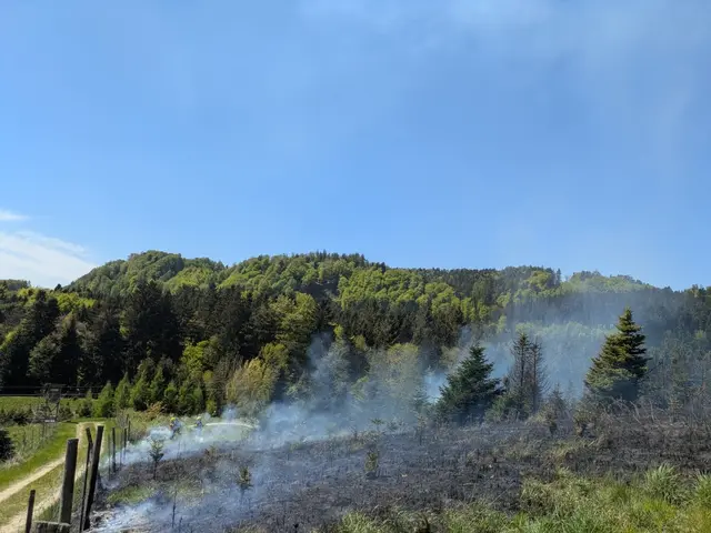 Foto: FOTOKERSCHI/FEUERWEHR PEHIGEN