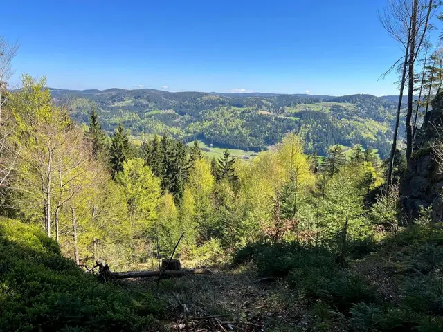 Foto: Naturfreunde Mauthausen