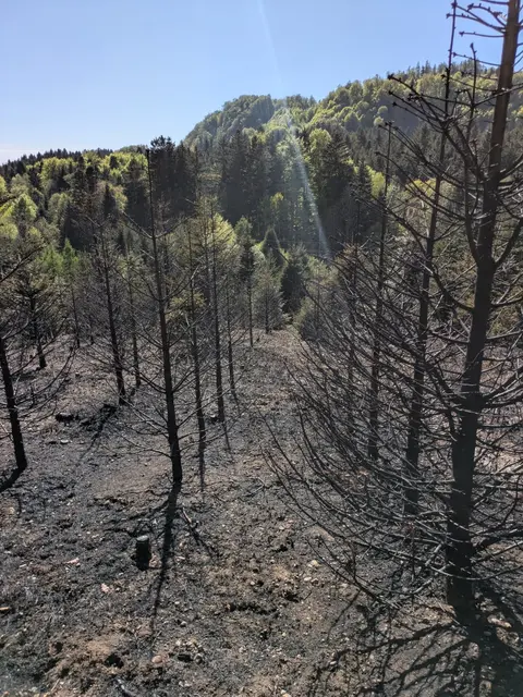 Foto: FOTOKERSCHI/FEUERWEHR PEHIGEN