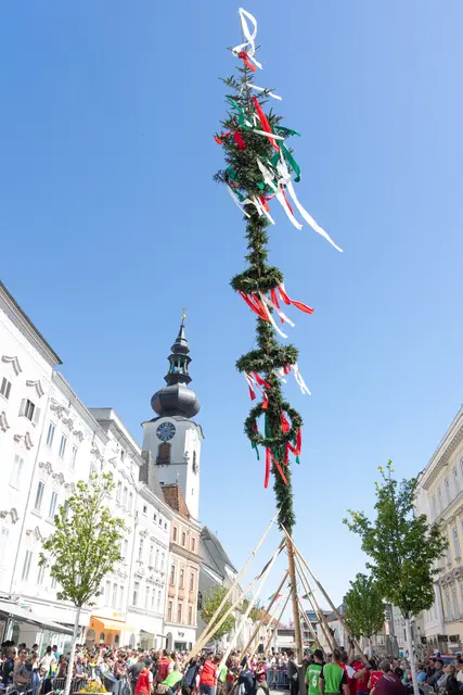 Erfolgreich aufgestellt: Der Baum aus der Gemeinde Pichl steht fest am Welser Stadtplatz. | Foto: WMT/ Chris Holzinger