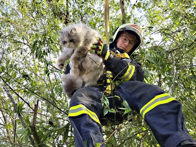 Nach einer Stunde Einsatz, glückliche Katze wieder bei Besitzerin