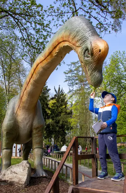 So kann der monumentale Brachiosaurus „Brutus“ erstmals von Kindern selbst gefüttert werden und ist als neues Fotomotiv bereits jetzt ein Publikumsmagnet.