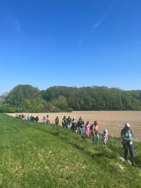 In ganz Niederösterreich waren im Rahmen des Wandererwachens an diesem Tag viele Menschen unterwegs. | Foto: Gesunden Gemeinde Neulengbach