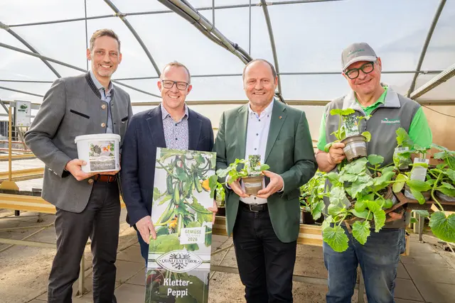 Clemens Mair (GF-Stv. AMTirol), Michael Jäger (Obm. Tiroler Gärtner), LH-Stv. Josef Geisler und Gastgeber Erwin Seidemann stellten mit dem "Kletter-Pepi" das Gemüse des Jahres 2026 vor. | Foto: AMTirol/Markus Krapf