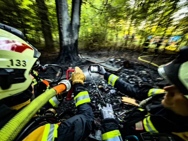 Foto: FOTOKERSCHI / WERNER KERSCHBAUMMAYR