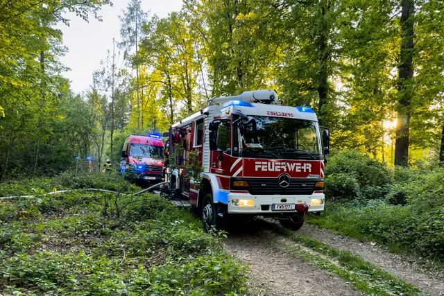 Foto: FOTOKERSCHI / WERNER KERSCHBAUMMAYR