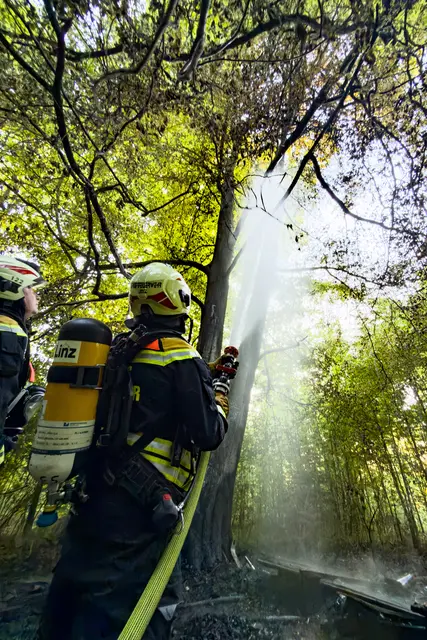 Foto: FOTOKERSCHI / WERNER KERSCHBAUMMAYR