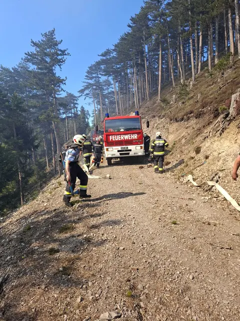 Foto: Bezirksfeuerwehrkommando NÖ
