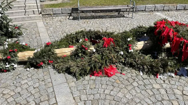 Landjugend-Maibaum in Bad Kreuzen "gefällt".  | Foto: Strudengau TV Franz Leitner